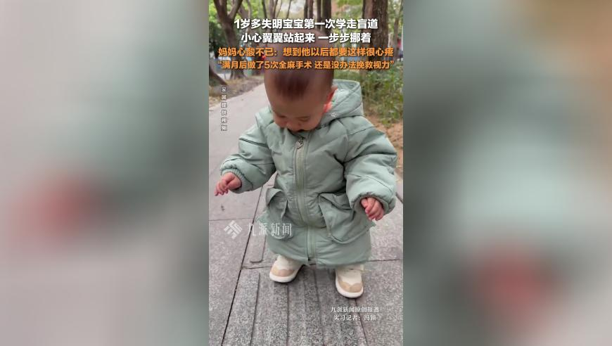 澳门管家婆最全免费资料大全,电影老狗黑吃黑,机构预测与落实方法揭秘_GM版V13.91