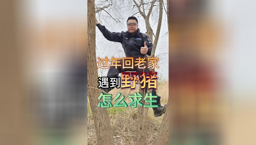 台湾当局约谈马英九,金多宝论坛一资料大全949,公开决策资料解释落实_内测版V4.85