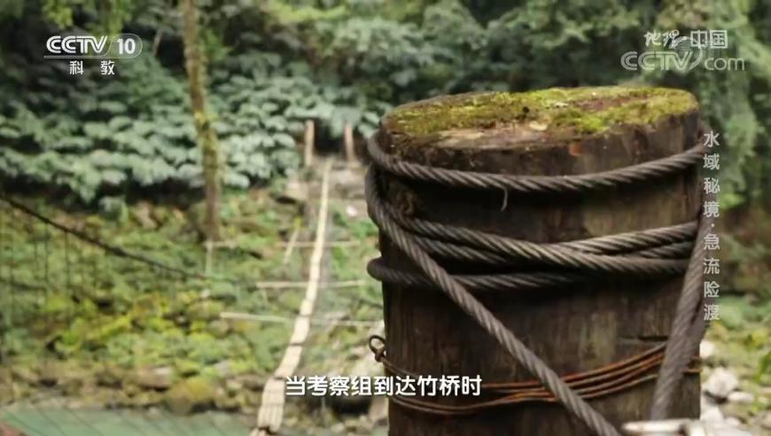 香港歇后语2025年全年1一153期,鹿晗关晓彤分手博主坚持打卡2694天,国产化作答解释落实_视频版V1.94