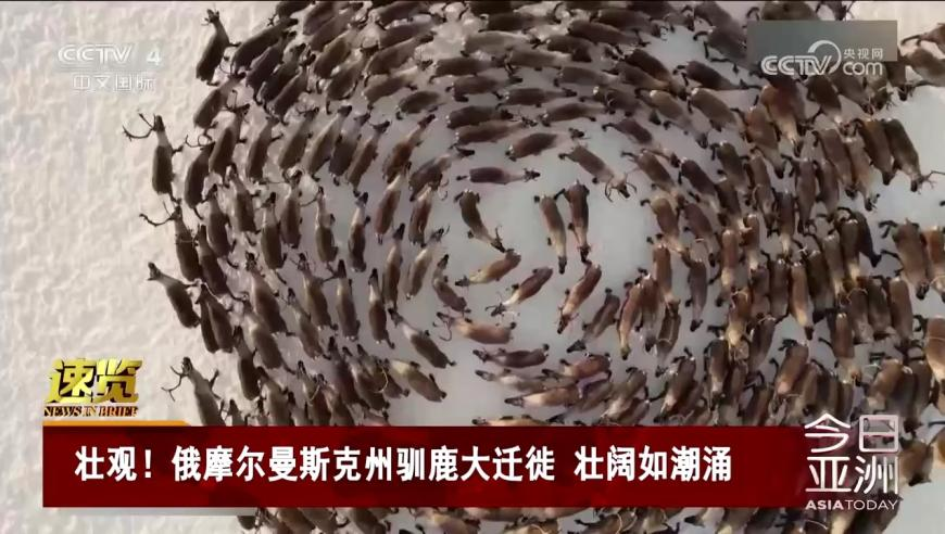 明日方舟隐德来希EP,澳门一码一肖一特一中1,决策资料解释落实_增强版V15.27
