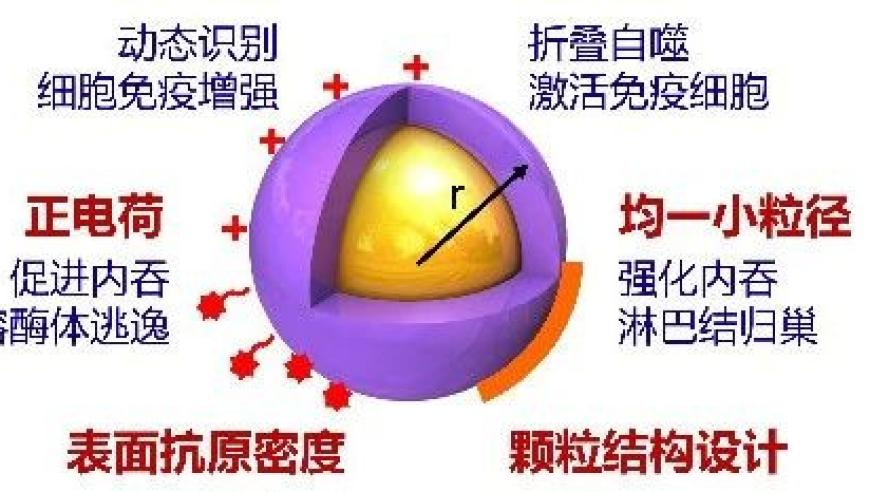 今晚开什么码澳门开奖2025,凭哪吒2票根可免费游多家景区,作答解释落实的民间信仰_基础版V2.97