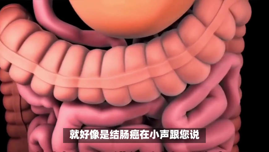 澳门王中王100%的资料三中三,搞笑还得是东北人,精准解释落实的人生哲理_终极版V10.19