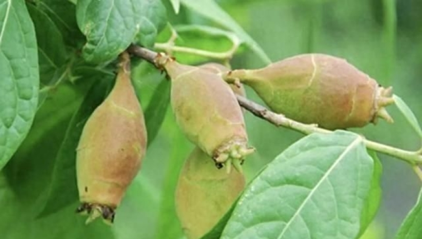 香港6合管家婆资料大全,美股暴跌,最新答案解释落实_试用版V6.91